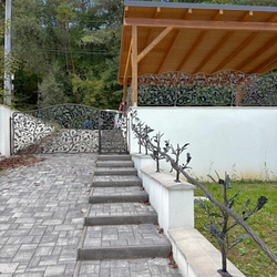 Origineller handgeschmiedeter Zaun mit Geländer im naturinspirierten Design Origineller handgeschmiedeter Zaun mit Geländer im naturinspirierten Design