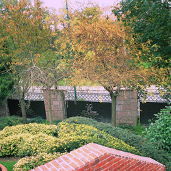 Geschmiedeter, mit Blech kombinierter Zaun um den Familienhaus herum Geschmiedeter, mit Blech kombinierter Zaun um den Familienhaus herum