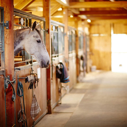 geschmiedete Stirnseite der Schiebpforte geschmiedete Stirnseite der Schiebpforte